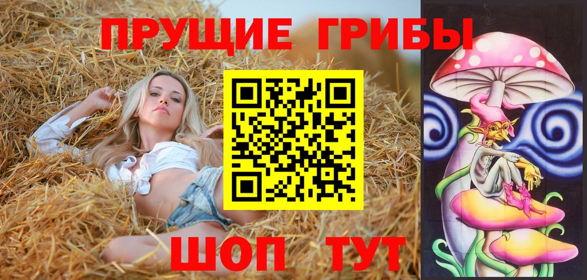 Псилоцибиновые грибы Magic Shrooms  Псилоцибиновые грибы GOLDEN TEACHER  Артём  Вход с VPN 