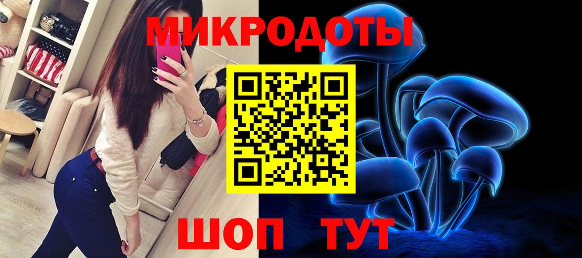 Псилоцибиновые грибы Psilocybine cubensis Артём